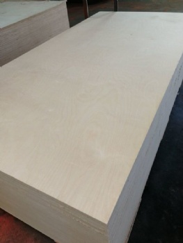 Birch Faced Plywood
