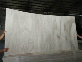 	 Flexible Plywood and Bending Plywood