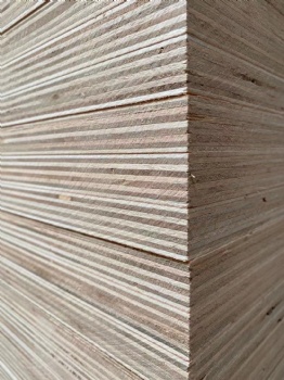  Melemine Plywood/ Laminated Plywood	