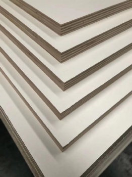  Melemine Plywood/ Laminated Plywood	